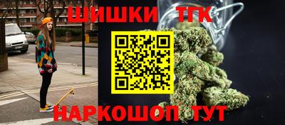 шишки Камышлов