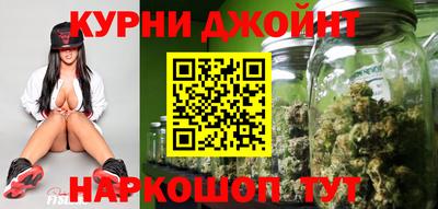 шишки Камышлов