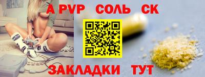 шишки Камышлов