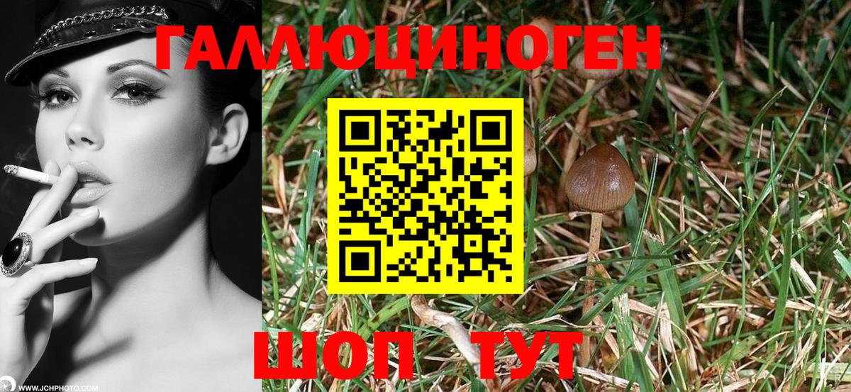 Галлюциногенные грибы прущие грибы Лиски